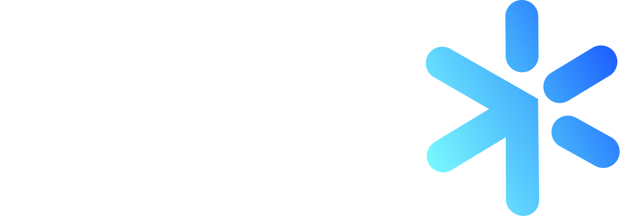 المجلس الفرعي للجمعيات الأهلية بمنطقة المدينة المنورة